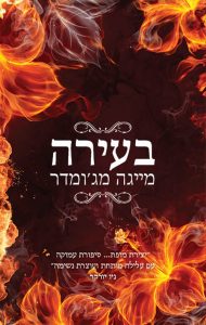 תמונה של הספר בעירה